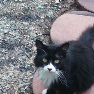 Peyton Haupt - Facebook Profile Picture of Peyton Haupt (@peyton.haupt.7) on Facebook