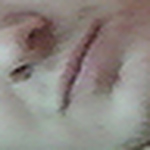 Profile Picture of brad johnston (@btothej15) on Flickr