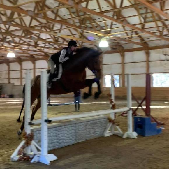 Profile Picture of Tamara Bogush (@tlbogush) on Poshmark