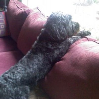 Profile Picture of Joyce Keil (@KeilJoyce) on Twitter