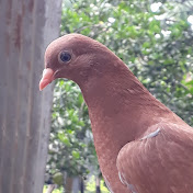 Profile Picture of Bryan Muse (@bryanmuse5404) on Youtube