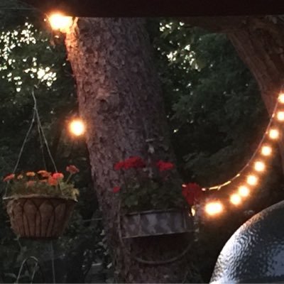 Profile Picture of Heather MacKenzie (@HeatherMaryMack) on Twitter