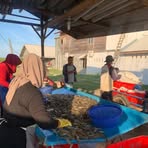 Profile Picture of Meckel Amel (@Meckel-Amel) on Facebook