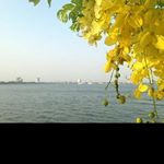 Profile Picture of theodorelowey (@theodorelowey) on Instagram