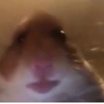 Profile Picture of Jeffery Randall (@jeff_randall1) on Instagram