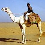 Profile Picture of Ralph Friedrich Hildinger (@ralphhildinger) on Instagram