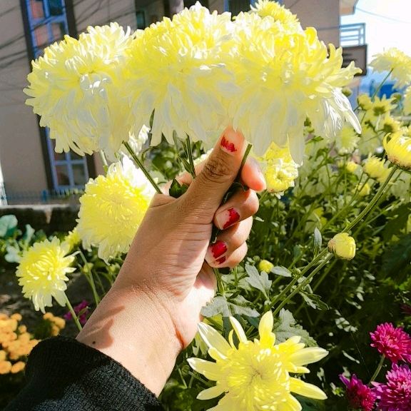 Profile Picture of Jasmine (लो) dong (@jasminedong0) on Tiktok