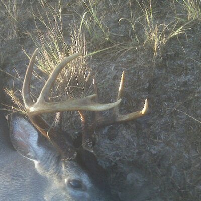 Profile Picture of Joe Medrano (@jmedrano81) on Twitter