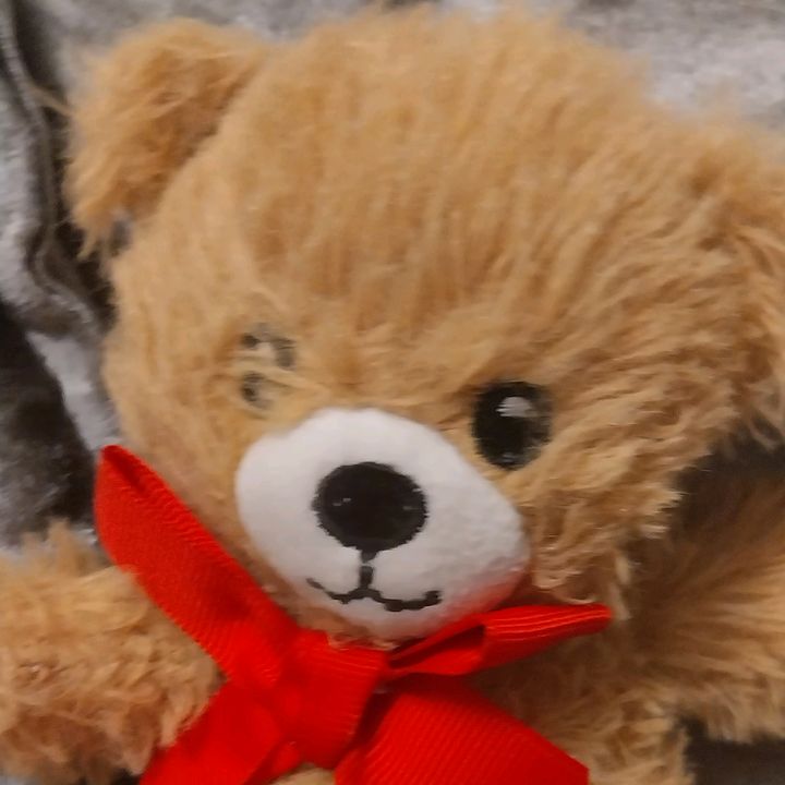 Profile Picture of AngryTimothy.101 (@timothygoesschoolx) on Tiktok