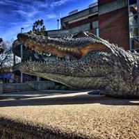 Profile Picture of Shawn Fletcher (@shawn-fletcher-28) on Quora