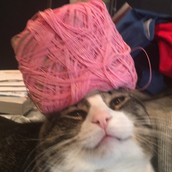 Profile Picture of Sarah Minkus (@sarahminkus) on Poshmark