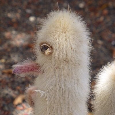 Profile Picture of Robert Weiland (@TreborPW) on Twitter