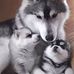 Profile Picture of Adam Chaves (@adam.chaves.961) on Facebook