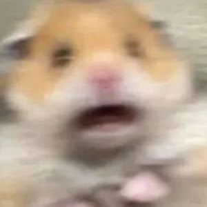 Profile Picture of robertmckinnon319 (@robertmckinnon319) on Tiktok