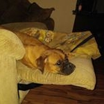 Profile Picture of Collin Jorgensen (@shotgun3997) on Instagram