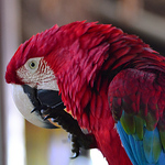 Profile Picture of Miguel Sanchez Islas (@migislas) on Flickr