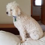 Profile Picture of Debra Buchanan (@imdebra16) on Instagram