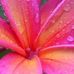 Profile Picture of Debra Anders (@debra.anders.351) on Facebook