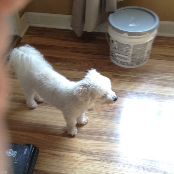 Profile Picture of Sharon Fess (@skf0404) on Poshmark