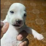 Profile Picture of Arken Abrio Bendan (@arken.abrio.bendan) on Facebook