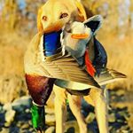 Profile Picture of Jerry Perry (@jerry.perry.773124) on Instagram