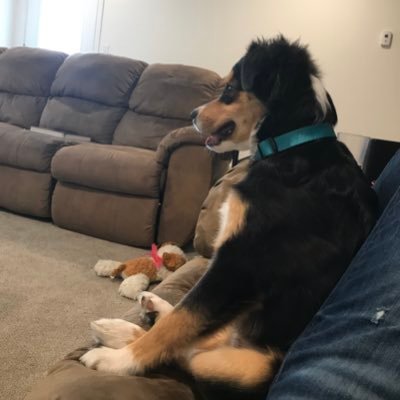 Profile Picture of Alexander Gustafson (@Alexand28958841) on Twitter
