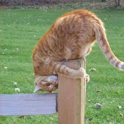 Profile Picture of Nancy Leach (@nancyleach8701) on Youtube