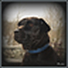 Profile Picture of sam the man 65 (@sam the man 65) on Flickr