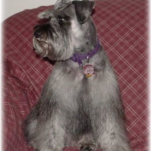 Profile Picture of Mary Loofbourow (@279415019) on Myspace