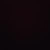 Profile Picture of Andrew (@@andrewschel) on Tiktok