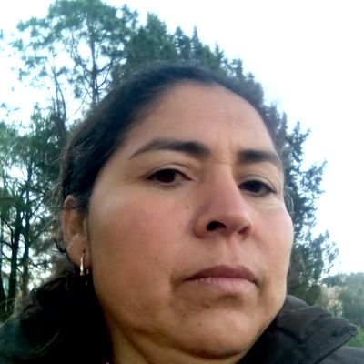 Profile Picture of Josefina Esquivel Alcantara (@JosefinEsqu12) on Twitter