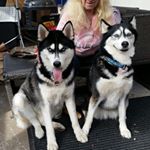 Profile Picture of Cora Schüler (@ladycora_harleyman) on Instagram