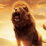 Profile Picture of Willie David (@willie.david.73kit93th) on Instagram