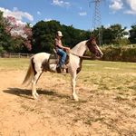 Profile Picture of Nicholas Francis F galharde (@nicholasfrancisfigueiredo) on Instagram