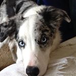 Profile Picture of Edward Jakubowski (@edward.jakubowski.1) on Instagram