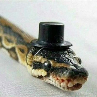 Profile Picture of Brian Calabrese (@b_calabrese177) on Twitter