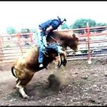 Profile Picture of Blacky Roman (@hazel.ricardo222) on Instagram