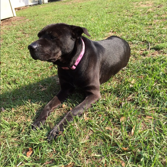 Profile Picture of David Pozorski (@davidpozorski) on Poshmark