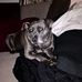 Profile Picture of Steve Collis (@steve.collis.1004) on Facebook