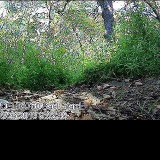 Profile Picture of perrybarrett (@perrybarrett) on Instagram