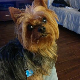 Profile Picture of Sarah Churma (@sarahchurma) on Pinterest