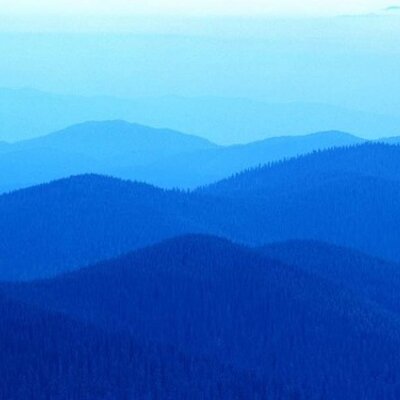 BLAZE BLAKE J - Twitter Profile Picture of BLAZE BLAKE J (@blaze_blake) on Twitter