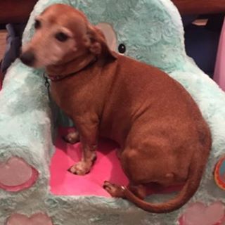 Profile Picture of Cleve Ward (@cleve.ward.12) on Facebook