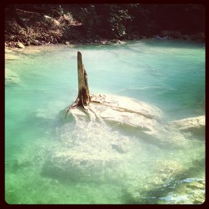 Profile Picture of Paco Uribe (@fcouribe) on Myspace