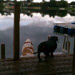 Profile Picture of Adda Bogaards (@ambogaards) on Instagram