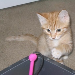 Max Gagliardi - Myspace Profile Picture of Max Gagliardi (@maxgags) on Myspace