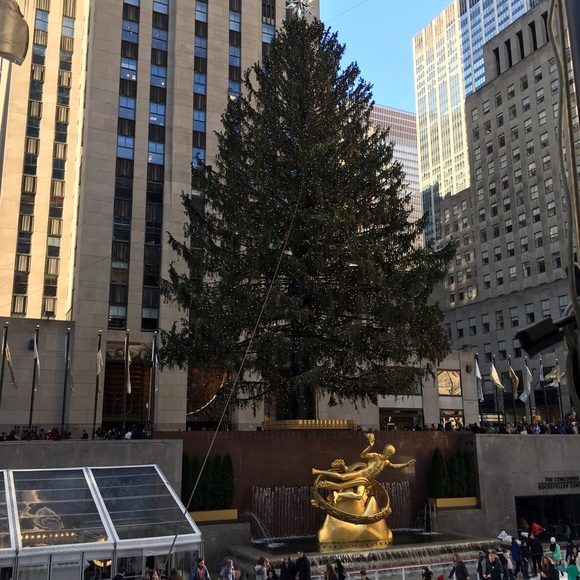 Profile Picture of Joanne Smith (@jsheas) on Poshmark