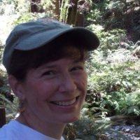 Profile Picture of Laurel Harrison (@laureltoad) on Twitter