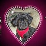 Profile Picture of Amy Bona (@bonaamy) on Instagram