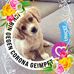 Profile Picture of Doris Wolter (@Doris-Wolter) on Facebook